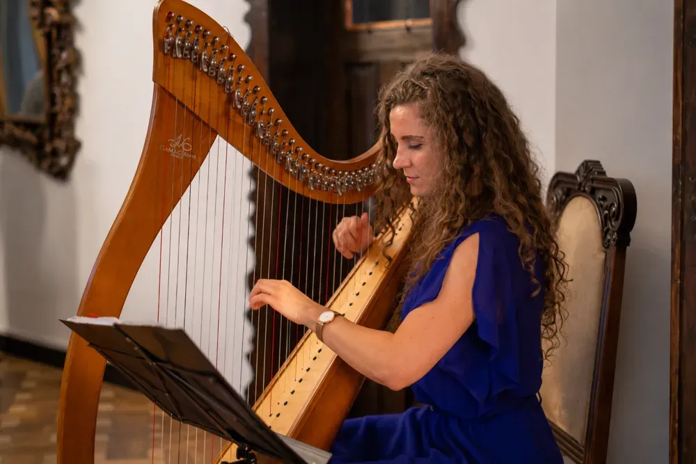 Concert intim de cameră
