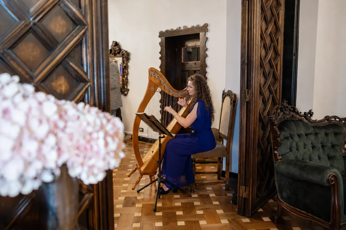 Muzica Live — concert intim de cameră