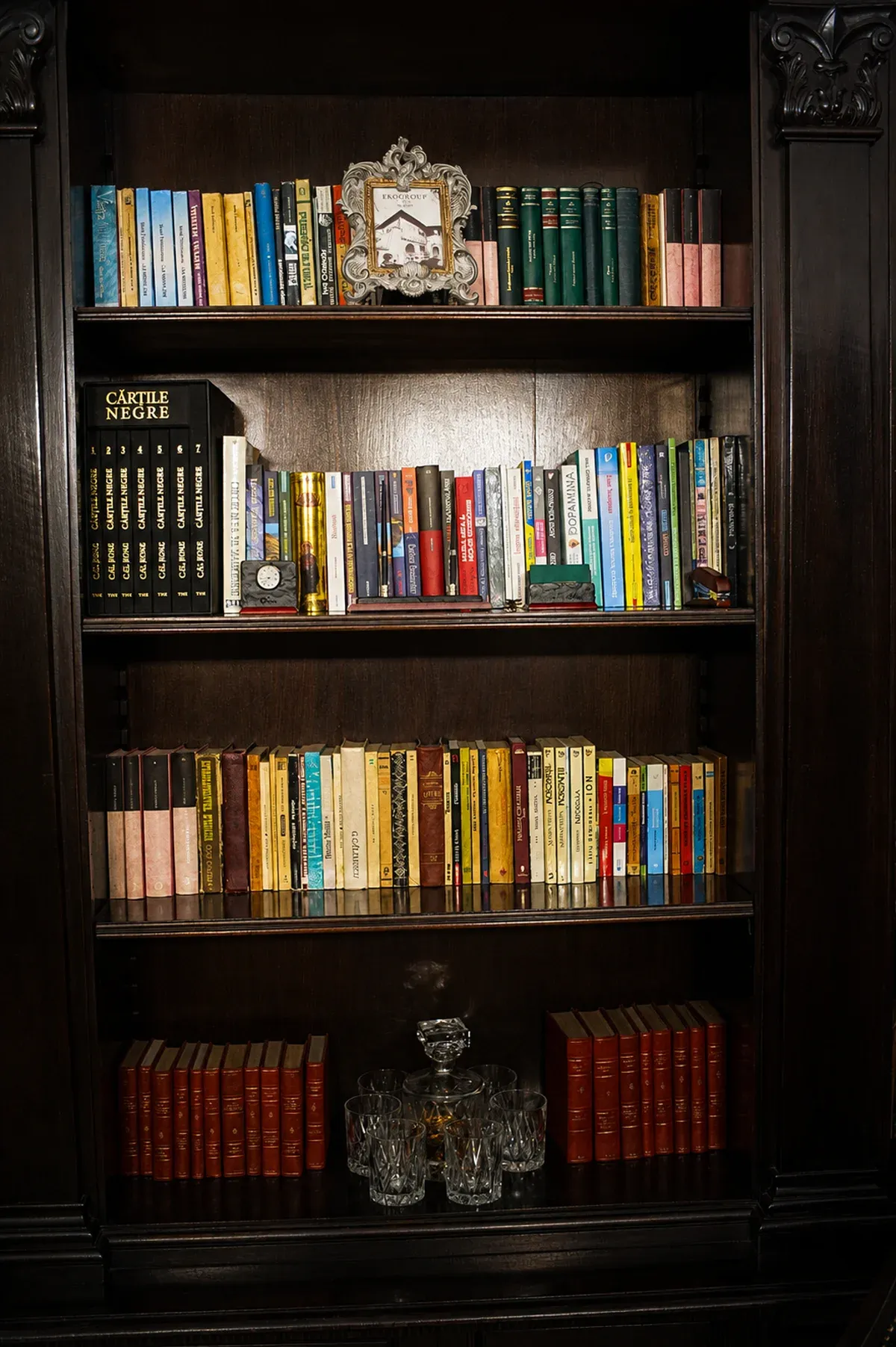 Planificare Strategică — bibliotecă EkoGroup Vila